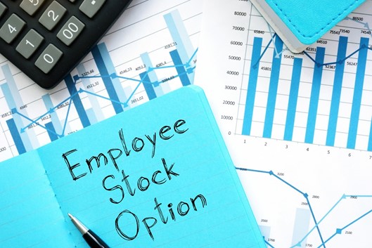 How To Evaluate Stock Options | Stock King Options